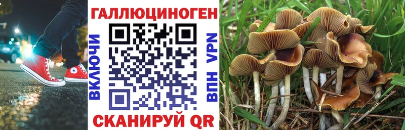 где купить наркотик  Еманжелинск  Псилоцибиновые грибы Cubensis 